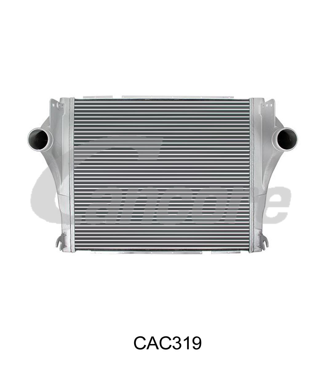 CAC319 2